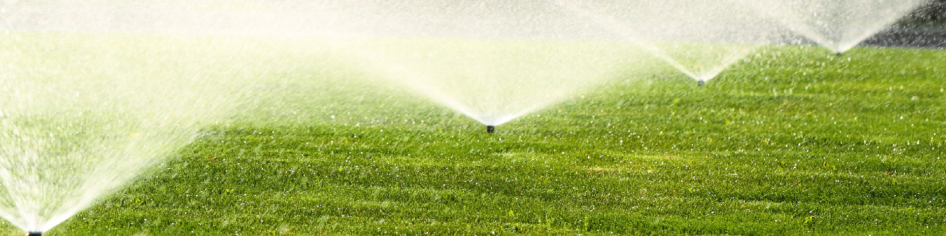 Автополив в Новосибирске Автополив в Новосибирске